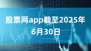 股票网app截至2025年6月30日