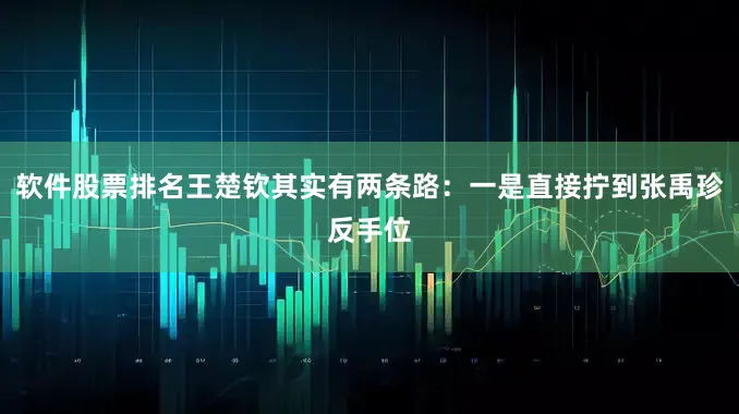 软件股票排名王楚钦其实有两条路：一是直接拧到张禹珍反手位