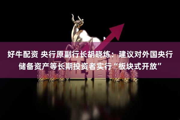 好牛配资 央行原副行长胡晓炼：建议对外国央行储备资产等长期投资者实行“板块式开放”