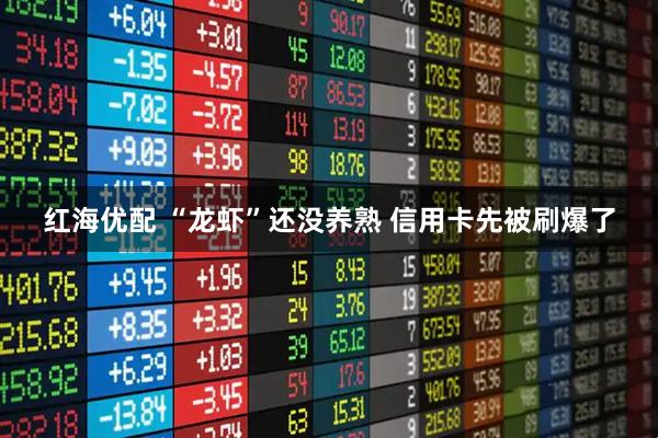 红海优配 “龙虾”还没养熟 信用卡先被刷爆了