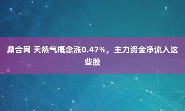 鼎合网 天然气概念涨0.47%，主力资金净流入这些股