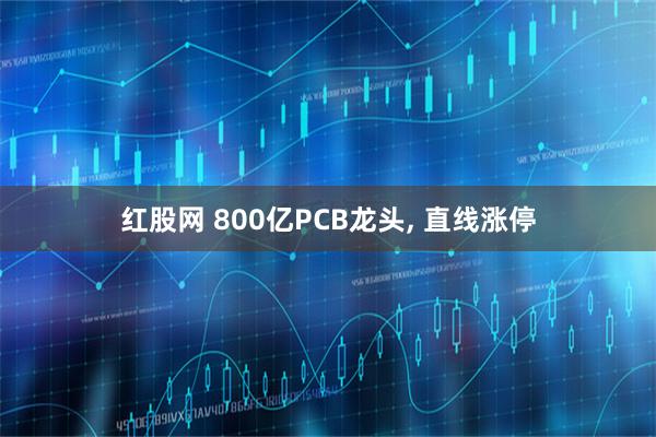 红股网 800亿PCB龙头, 直线涨停