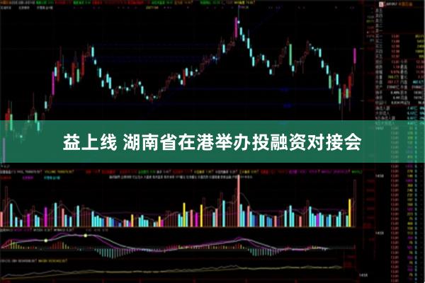 益上线 湖南省在港举办投融资对接会